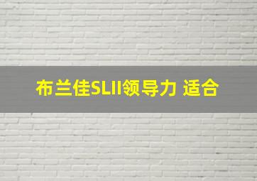 布兰佳SLII领导力 适合